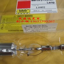 原L8252L8251灯泡新品滨松HAMAMATSU点光源UV灯泡L10852图片