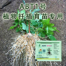 ABT生根粉1号GGR双吉尔生根粉液扦插移栽增产生根