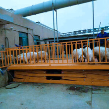 济南卸猪台卸猪台价格XZT-3.5卸猪台厂家-济南天禄