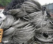 武穴电缆回收市场价格图片5