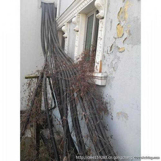 江北区电缆回收江北区废旧电缆回收