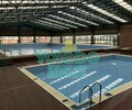 供应山东滨州无棣县儿童教学游泳池尺寸可量身定制
