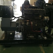 上海闪威20千瓦柴油发电机