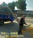 小型5米6米车载装车机小麦玉米折叠输送机水稻花生皮带机