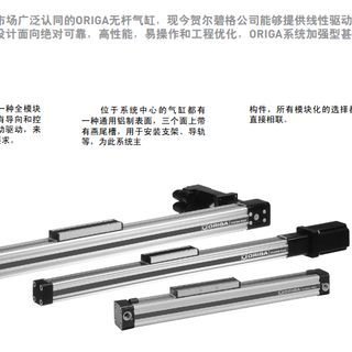 美国派克parkerOSP-P系列无杆气缸图片2