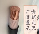 金环宇电线电缆供应NH-YJV1x16mm2国标纯铜芯耐火电缆图片