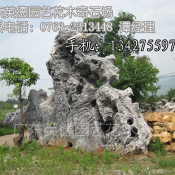 供應(yīng)太湖石天然石園林石