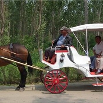 花車展覽樓盤巡游打廣告巡游人氣吸睛設(shè)備租售