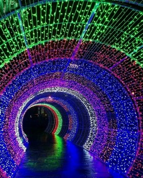 燈光節(jié)LED美陳商業(yè)造型展各種造型布展