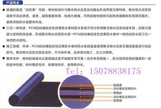 PCM自粘聚合物改性沥青防水卷材找广西青龙化学建材有限公司图片3