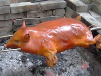 养殖巴西香猪的市场效益图片4