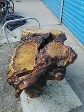 北京现货极品满榴黄金樟根雕茶具巴花根雕茶盘实木根雕茶海图片