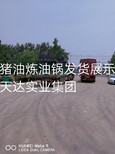 猪油脂精炼加工水平炼油锅图片5