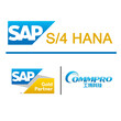 SAPS/4HANA系統，SAPHANA代理商--找SAP金牌代理商廣州工博