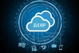 SAP公有云及私有云解决方案SAP云ERP实施伙伴-工博科技