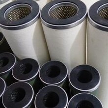 腾发天然气滤芯1141850/G6.0天然气滤芯/天然气滤芯价格图片