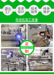 广州厂家九盈机械学生营养餐净菜加工流水线常年提供