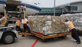 东莞货物到襄阳航空运输运费国庆优惠,道勤物流欢迎您图片4