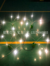 户外草坪灯生产厂家铭星专业生产户外防水摇曳灯图片