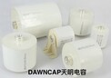 DAWNCAP天明无线充电专用电容器85K4000VAC