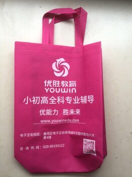 西安全运会文创宣传品-帆布袋图文彩印帆布包定做