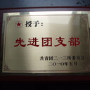 腐蝕獎牌銅面獎牌學(xué)校單位定制獎牌墻上掛獎牌西安金屬獎牌定做