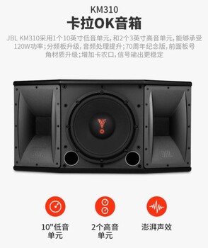 JBLKM310音响卡拉OK音箱家庭KTV卡包极客章鱼