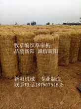 江西全自动草帘机多少钱一台图片