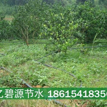 四川广元剑阁县砂糖桔灌溉管规格型号参数表