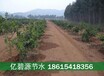 四川广元昭化县砂糖桔果树滴灌工程设计施工公司