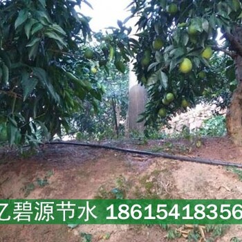 四川广元苍溪县砂糖桔果树灌溉管常用规格