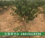 江西德安县亿碧源智慧农业自动化施肥灌溉设备行业领先