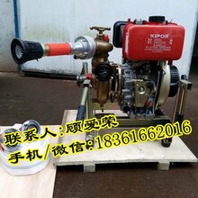 50CWY-27柴油机便携式船用应急消防泵图片