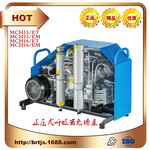 MCH13/ETSTANDARD高压呼吸充气泵