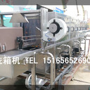 塑料筐清洗流水線塑料箱子清洗設(shè)備