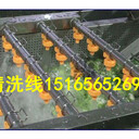 魚(yú)蝦清洗機(jī)，諸城佳品機(jī)械魚(yú)蝦類(lèi)清洗機(jī)，蝦仁清洗設(shè)備，大蝦清洗機(jī)