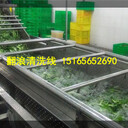 佳品牌5米清洗線6米洗菜機價格7米蔬菜清洗線凈菜加工設(shè)備