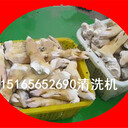 大型豬蹄豬肘子清洗設(shè)備毛刷清洗機(jī)一機(jī)多用