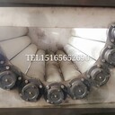 吉林大型土豆去皮機輥式加粗土豆去皮清洗線質保十年