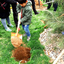 洛陽墓園-鳳凰山紀念園珍品杰作龍鳳園隆重面世