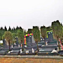 洛陽邙山公墓2020墓地價(jià)格發(fā)布