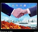 携手无真忧为您的创业打开思路