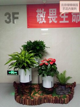 丰台丽泽商务花卉绿植租摆、丽泽商务租花、丽泽商务植物租摆