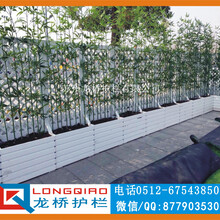 扬州新农村护栏新农村围墙栏杆龙桥专业制造