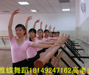 陕西西安北郊舞蹈专业培训、爵士舞培训、韩舞培训、街舞、拉丁舞培训