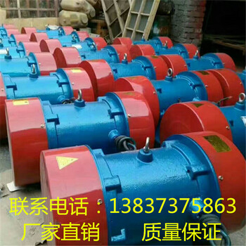 振動(dòng)篩使用0.75KW振動(dòng)電機(jī)報(bào)價(jià)