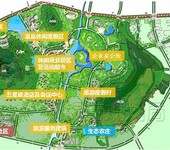 中华山旅游开发项目可行性研究报告