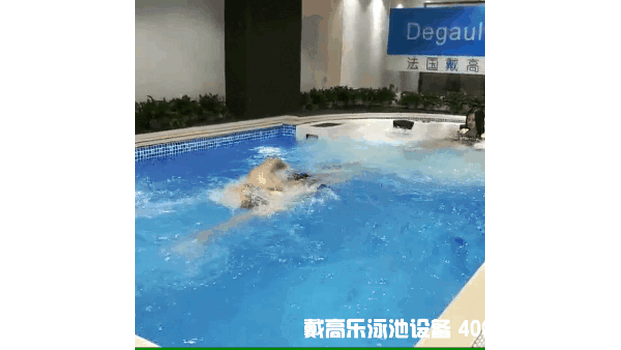 广州钢结构游泳池 拆装式游泳池可拼装游泳池戴高乐泳池设备