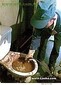 石景山區楊莊北區馬桶疏通馬桶維修馬桶安裝服務圖片