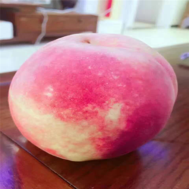 內(nèi)蒙古桃樹實生苗基地裝車價格
